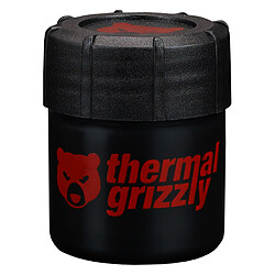 Thermal Grizzly Putty Advance (30 grammes) pas cher