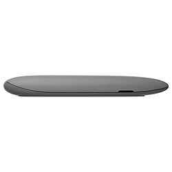 Avis ASUS Cobble - Gris