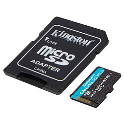 Kingston Canvas Go! Plus Gen 4 SDCG4/256GB