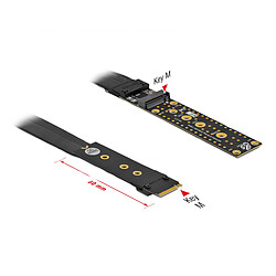 DeLock Riser Card M.2 Key M Extension NVMe avec câble 20 cm Extension Riser Card M.2 Key M Extension NVMe avec câble 20 cm