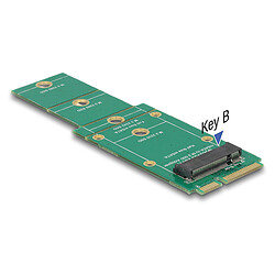 DeLock Adaptateur mSATA vers M.2 Key B