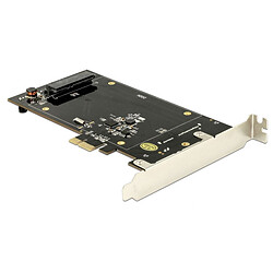 DeLock Carte Contrôleur PCI Express pour 2 disques 2.5" SATA 6 Gbps pas cher