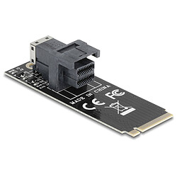 DeLock Adaptateur M.2 Key M vers SFF-8643