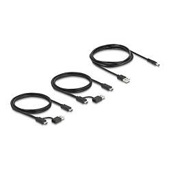 DeLock Commutateur 2 PC vers 4 périphériques USB 3.0 avec 2 entrées USB-C / 4 sorties USB-A pas cher