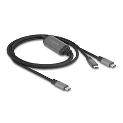 DeLock Câble de recharge 1x USB-C vers 2x USB-C avec Power Delivery 3.0 100W 5A de 1.2 m - Noir