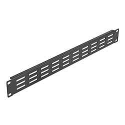 DeLock Panneau de ventilation avec évents verticaux 1U pour rack 19" - Noir