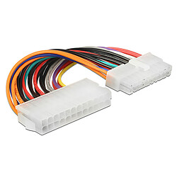 Câble alimentation DeLock