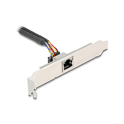 DeLock Carte réseau Mini PCI Express avec Ethernet Gigabit