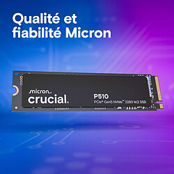 Acheter Crucial P510 2 To 2280
