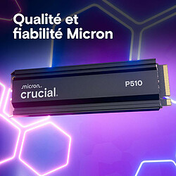 Acheter Crucial P510 2 To 2280 - Avec dissipateur