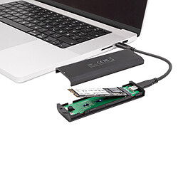 Delock Boitier USB-C pour SSD M.2 PCIe ou SATA pas cher