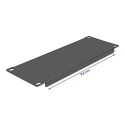 DeLock Panneau plein 2U pour armoire réseau 10"