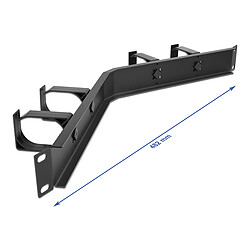 DeLock Panneau de gestion de câble 1U avec 4 crochets, angulé, pour armoire réseau 19"