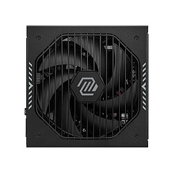Avis MSI MAG A750GLS PCIE5