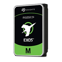 Seagate Technology Seagate Exos M 30 To (ST30000NM004K)