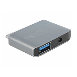 DeLock Adaptateur USB-C vers USB-A + Jack 3.5 mm (M/F) Gris