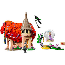 LEGO Wicked 75690 Glinda et Elphaba au Pays des Munchkins