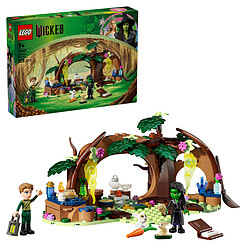 Avis LEGO Wicked 75687 Le Repaire d'Elphaba