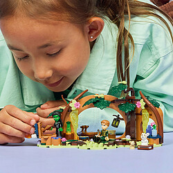 Acheter LEGO Wicked 75687 Le Repaire d'Elphaba