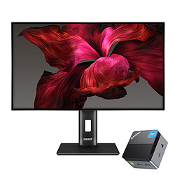 Mini PC Workstation N97 12/256 27" W11P