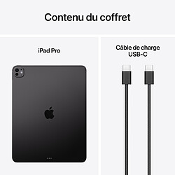 Apple iPad Pro M5 (2025) 13 pouces 2 To  Wi-Fi + Cellular Noir Sidéral pas cher