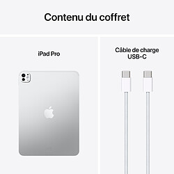 Apple iPad Pro M5 (2025) 11 pouces 256 Go Wi-Fi Argent pas cher