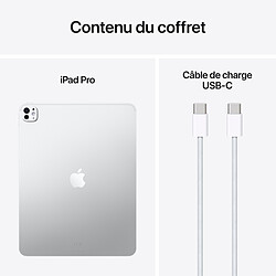 Apple iPad Pro M5 (2025) 13 pouces 512 Go  Wi-Fi + Cellular Argent pas cher