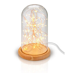 Goobay Glass Bell With Micro LED Light Chain