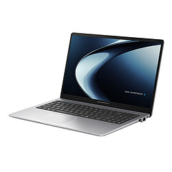 Avis ASUS ExpertBook P1 PM1503CDA-S70252X