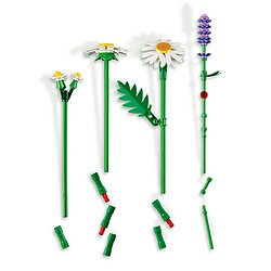 LEGO Botanique 11508 Marguerites pas cher