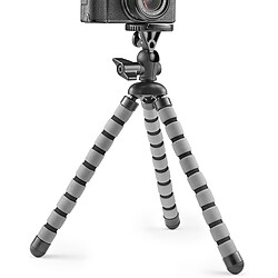 CULLMANN Alpha 655 Gris