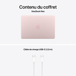 Apple MacBook Neo (2026) Rose poudré 8 Go/256 Go (MHFH4FN/A) pas cher