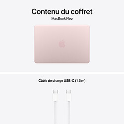Apple MacBook Neo avec Touch ID (2026) Rose poudré 8 Go/512 Go (MHFJ4FN/A) pas cher
