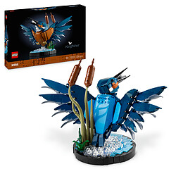 Avis LEGO Icons 10331 Le Martin-pêcheur