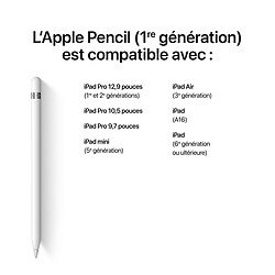 Apple Pencil 1re génération (MQLY3ZM/A)