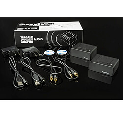 SVS SoundPath Multi-Band Wireless Audio pas cher