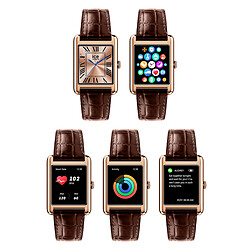 Acheter Ice Watch Ice Smart TKS 2.0 (Or Rose / Marron) + Ice Boliday Noir/Or OFFERTE !