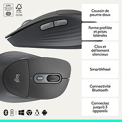 Souris