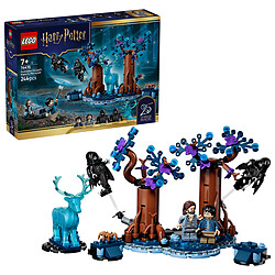Avis LEGO Harry Potter 76475 La Forêt Interdite : Expecto Patronum