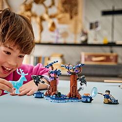 Acheter LEGO Harry Potter 76475 La Forêt Interdite : Expecto Patronum