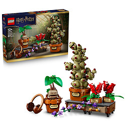 Avis LEGO Harry Potter 76474 Les Plantes du Cours de Botanique de Poudlard