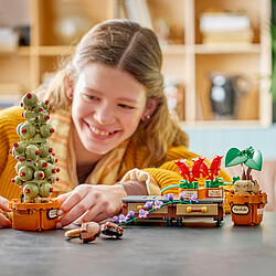 Acheter LEGO Harry Potter 76474 Les Plantes du Cours de Botanique de Poudlard
