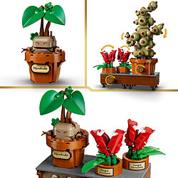 LEGO Harry Potter 76474 Les Plantes du Cours de Botanique de Poudlard pas cher