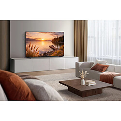 Samsung Neo QLED 50QN80H pas cher