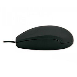 Souris