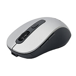 Souris