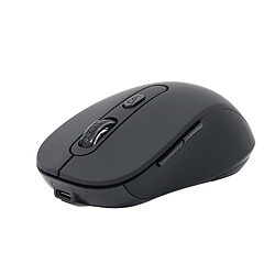 Souris