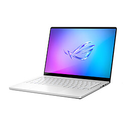 Avis ASUS ROG Zephyrus G14 GA403GM-DR2W