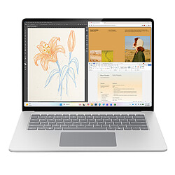 Avis Microsoft Surface Laptop 8ème Edition 15" - Platine (EP2-61344)