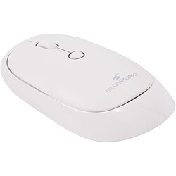 Souris
